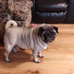 Evie Ferrell - Facebook