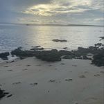 Evie - @evief_ord - Instagram