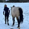 Evie Ford - @evie.priv8x - TikTok