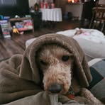 Evie Ganes - Facebook