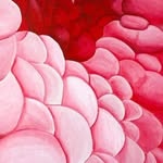 Eve Gallagher - @evegallagherpainting - Instagram