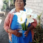Eva Galvan - Facebook