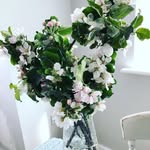 Evie&George’sHome🌸 - @evie_and_georges_home - Instagram