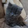 Evie - @evie_glover003 - TikTok