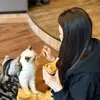 Evie Glover - @evie.glover - TikTok