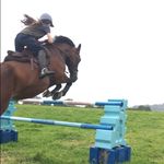 Evie Gregory - @eviegr123 - Instagram