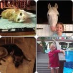 I💗my Pony Splash 💎 BFF Tia - @eviehaley789 - Instagram