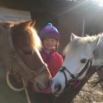 💖merlin💖daisy💖 - @eviehaley_showjumper - Instagram