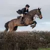 Evie - @eviehall_sj - TikTok