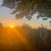 evieh.all_ - @evieh.all_ - TikTok