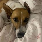 Evie Hamilton - Facebook