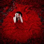 Evie Harding - @evieharding73 - Instagram