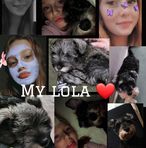 Evie Hicks - Facebook