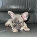 Evie Hill - Facebook