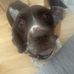 Evie Hill - Facebook