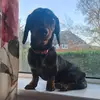 Evie Hill - @evie.hill6 - TikTok