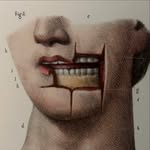 𝙴𝚟𝚒𝚎 - @evieholmestattoo - Instagram