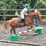 Evie Hooper - @horselovers__riding__journey_ - Instagram