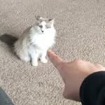 Evie Hooper - @slipstitch_239 - Instagram