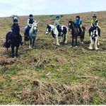 Evie Hooper - @evies_riding_journing_ - Instagram