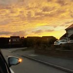 𝑬 𝑽 𝑰 𝑬 ꨄ︎ - @evieh_owell - Instagram