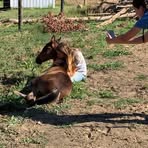 Evie Huffman - Facebook