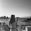 evie hunt - @evie_huntt - TikTok
