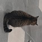 Eve Jiang - @jiang_0713 - Instagram