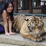 Evie Jiang - @xjiang8 - Instagram