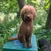 Evie Jones - Facebook