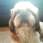 eviecorn - @eviejoyce_x - Instagram