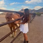 Evie Kim - @eviek.im - Instagram