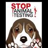 Eva Kramer - @xx.stop.animal.abuse.x - TikTok