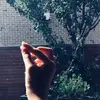 Evie Lam - @16398lol - TikTok