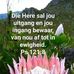 Evelyn Lambert - Facebook