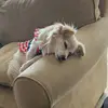 EvieLee - @evielee17 - TikTok