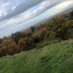 Evie Levine xx - @evie.levine - Instagram