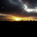 evie - @_evie.lewis - Instagram