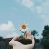 ♡100?🥺♡ - @evie..light - TikTok