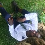 Evielight - @evielight086 - Instagram