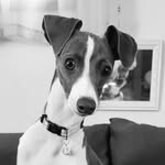 Evie - @evielongnose - Instagram