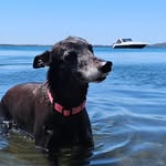 Evie Longdog - @evie_longdog - Instagram