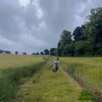 Evie Mack - @eviemdancer_ - Instagram