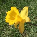 Evie R. Mann - @evie_mann676 - Instagram