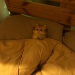 Evie March - Facebook