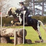 Evie Marchant - @evie.marchant.eventing - Instagram
