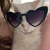 Ev - @_eviemarshall_ - TikTok