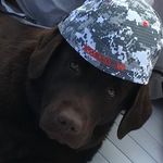 Evie Mason - @evie_mason11 - Instagram