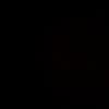 evie_mayer - @evie_mayer - TikTok