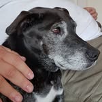 Evie - @eviemcbride5501 - Instagram
